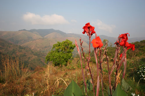 Burundian Landscape
